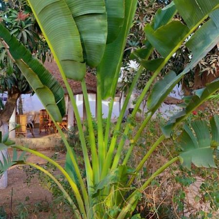 Le Jardin De Adja Hotel Ngaparou Exterior photo