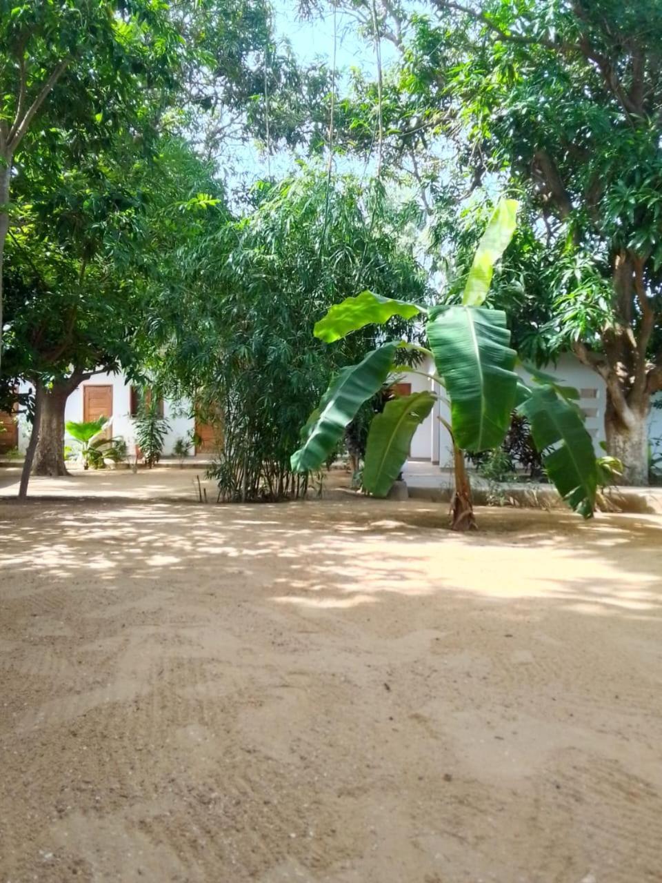 Le Jardin De Adja Hotel Ngaparou Exterior photo